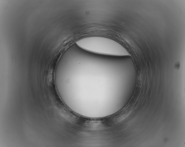 X0000091060554200708061002