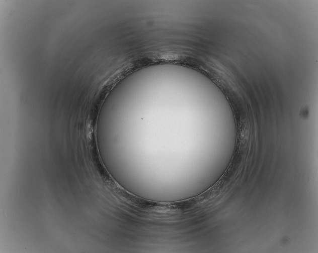 X0000091060555200708061002