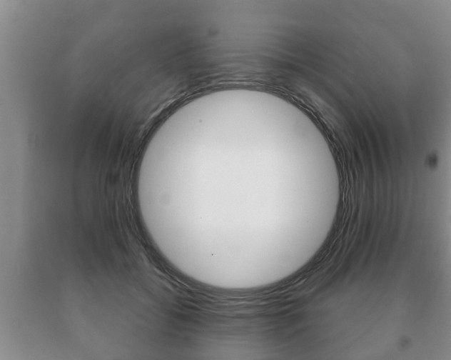 X0000091060556200708061002