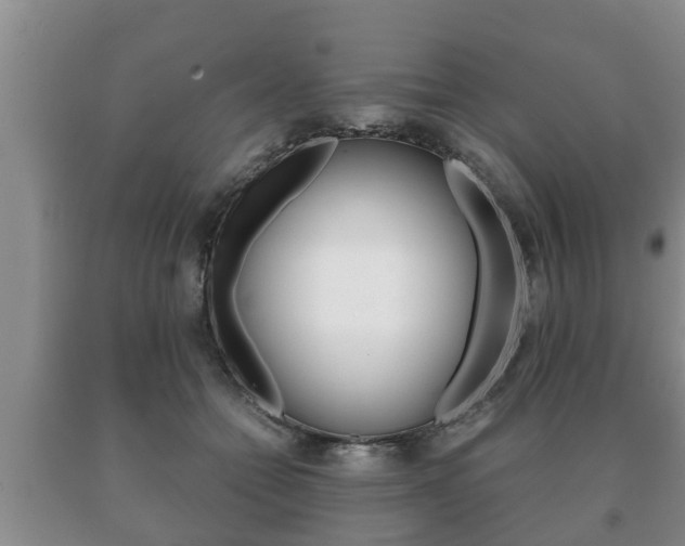 X0000091060558200708061002