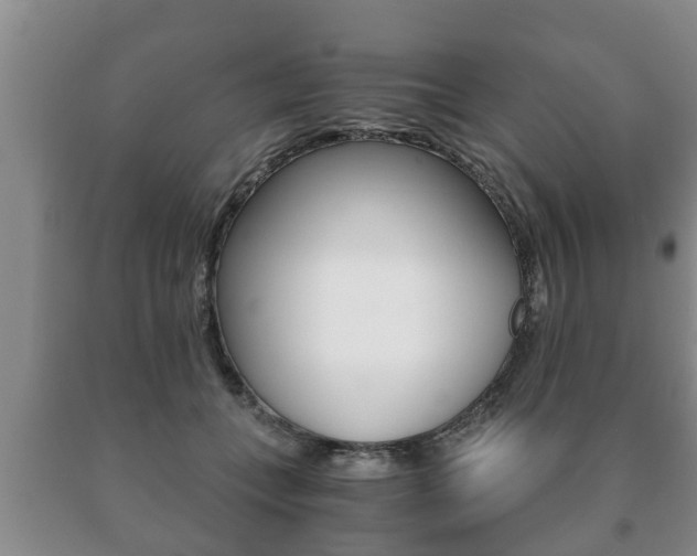 X0000091060559200708061002