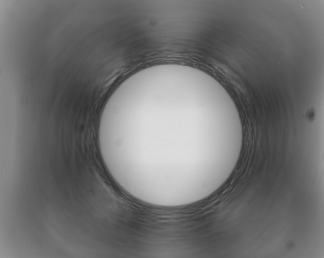 X0000091060560200708061002