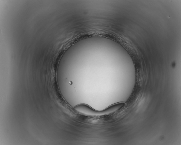 X0000091060563200708061002