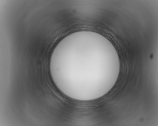 X0000091060564200708061002
