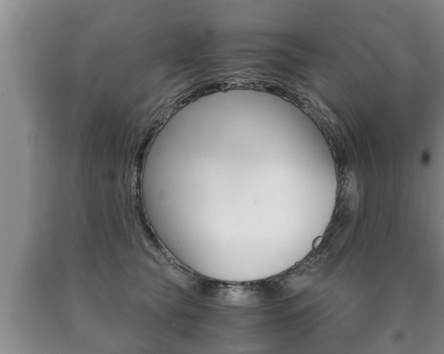 X0000091060565200708061002