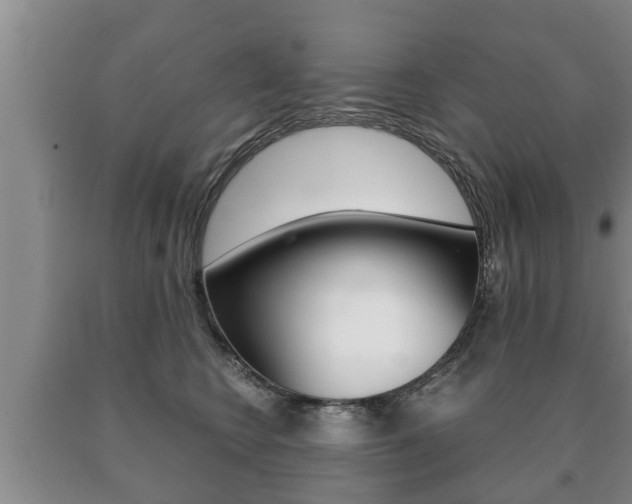 X0000091060566200708061002