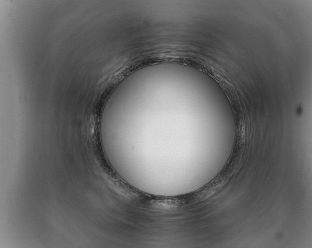 X0000091060567200708061003