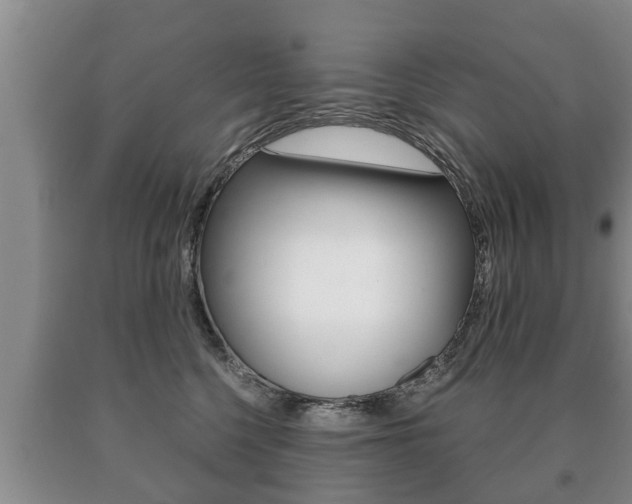 X0000091060568200708061003