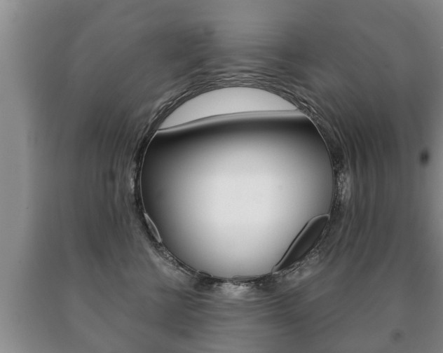 X0000091060570200708061003