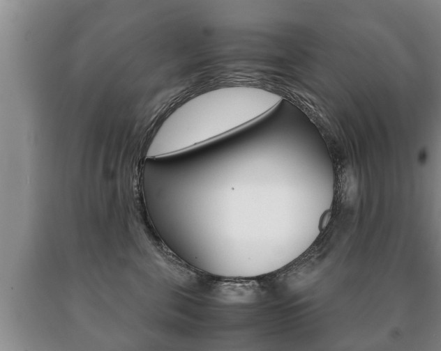 X0000091060571200708061003