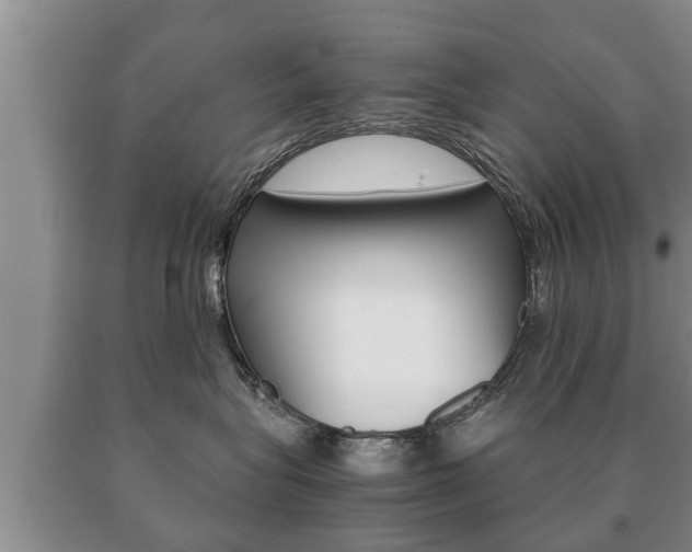 X0000091060575200708061003