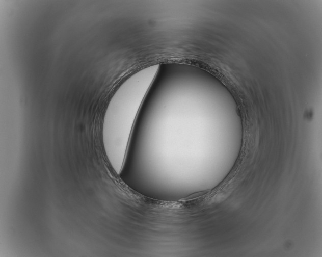 X0000091060576200708061003