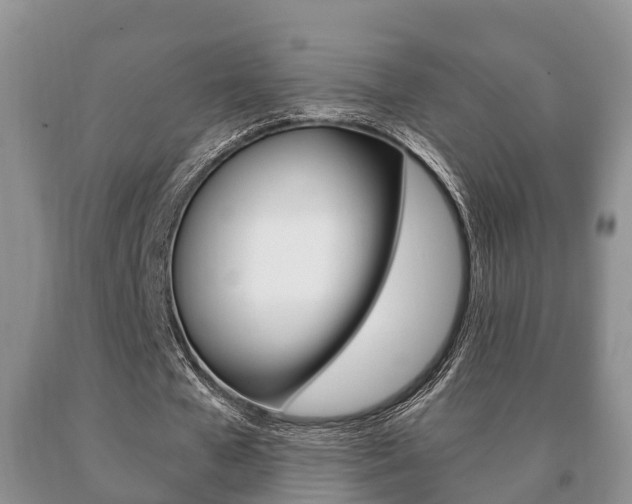 X0000091060577200708061002