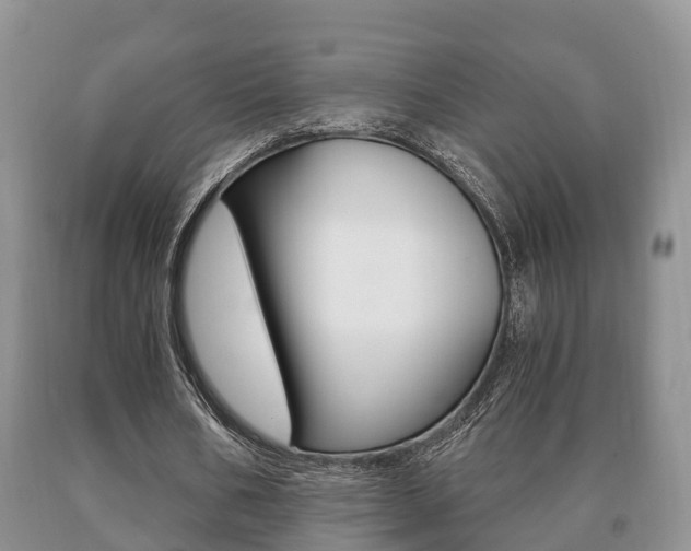 X0000091060578200708061002