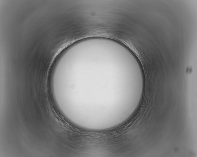 X0000091060579200708061002
