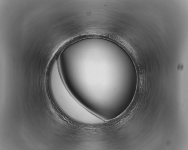 X0000091060580200708061002