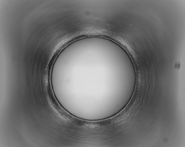 X0000091060582200708061002