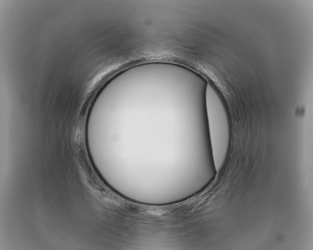 X0000091060583200708061002