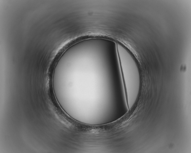 X0000091060584200708061002