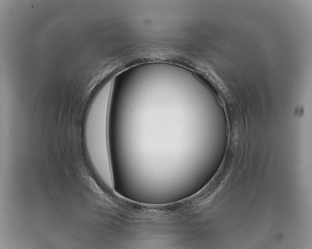 X0000091060585200708061002