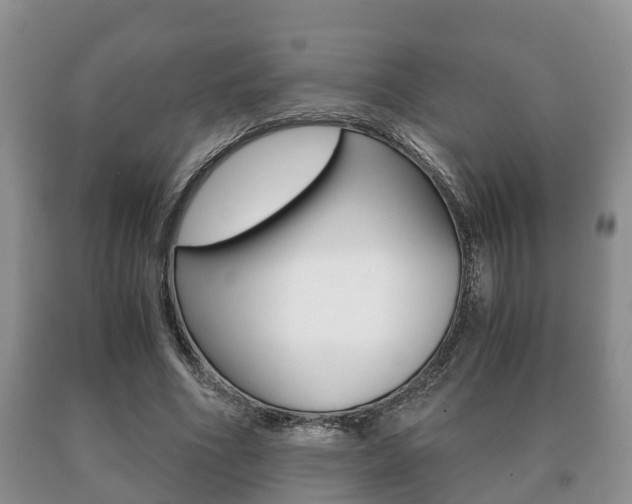 X0000091060586200708061002
