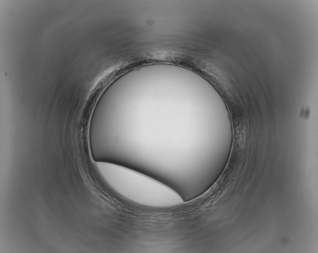 X0000091060587200708061002