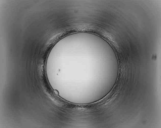 X0000091060590200708061002