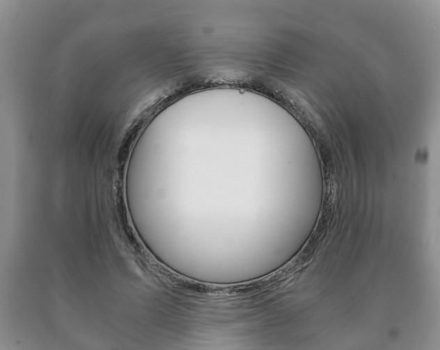 X0000091060591200708061002