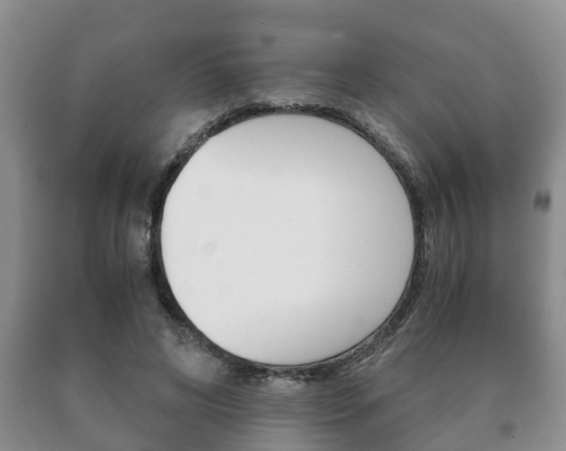 X0000091060592200708061002