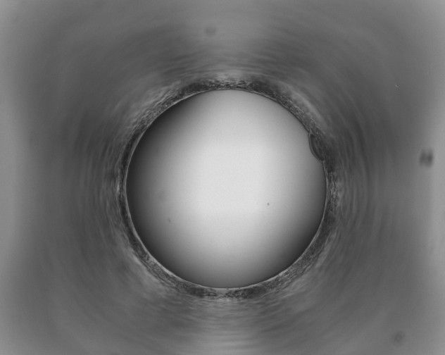 X0000091060593200708061002