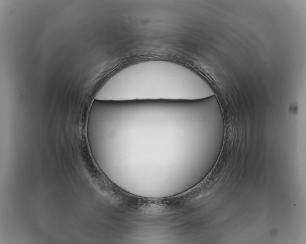 X0000091060594200708061002