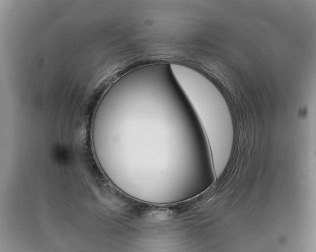 X0000091060595200708061002