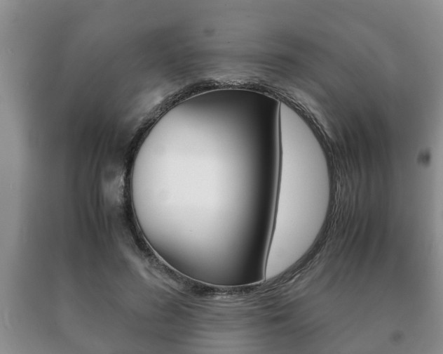 X0000091060596200708061002