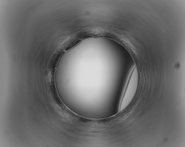 X0000091060597200708061002