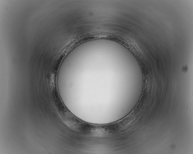 X0000091060598200708061002