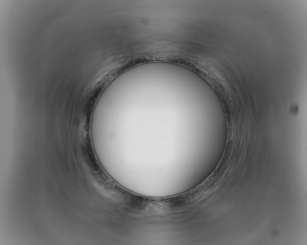 X0000091060599200708061002
