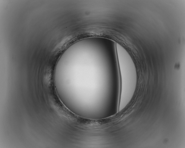 X0000091060600200708061002