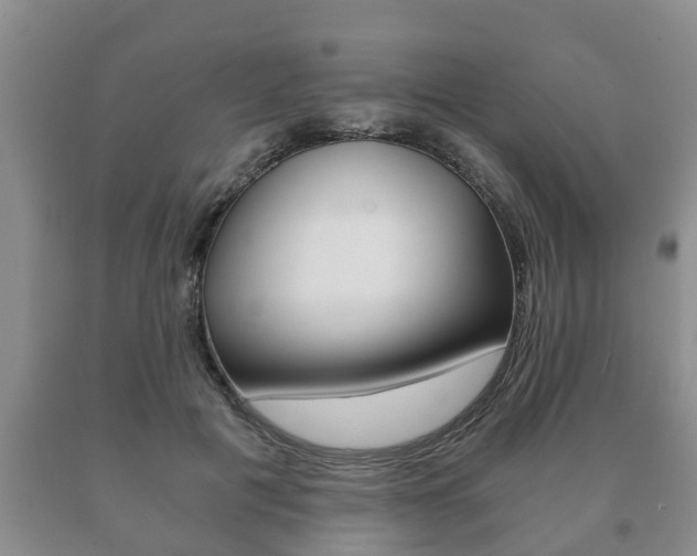 X0000091060601200708061002
