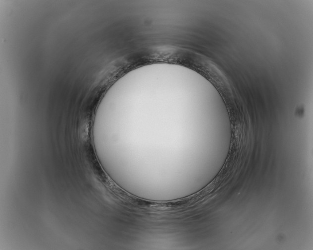 X0000091060602200708061002