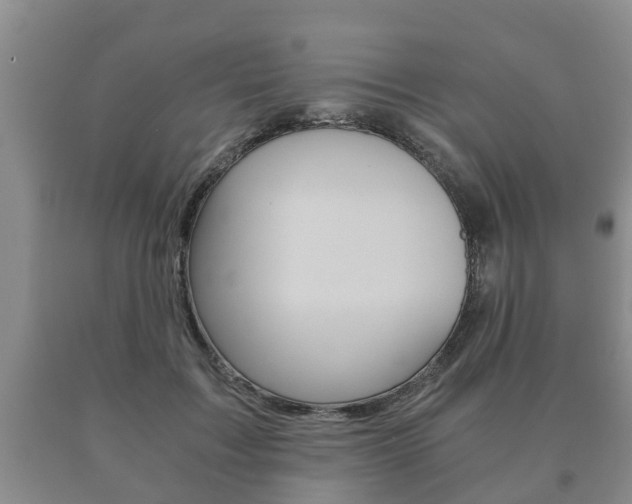 X0000091060603200708061002