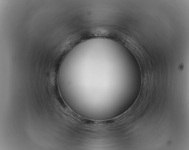 X0000091060604200708061002