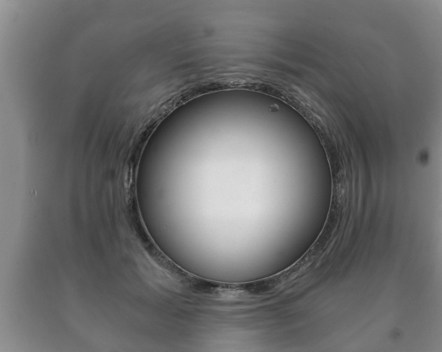 X0000091060605200708061002