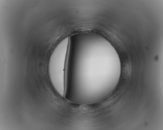 X0000091060608200708061002