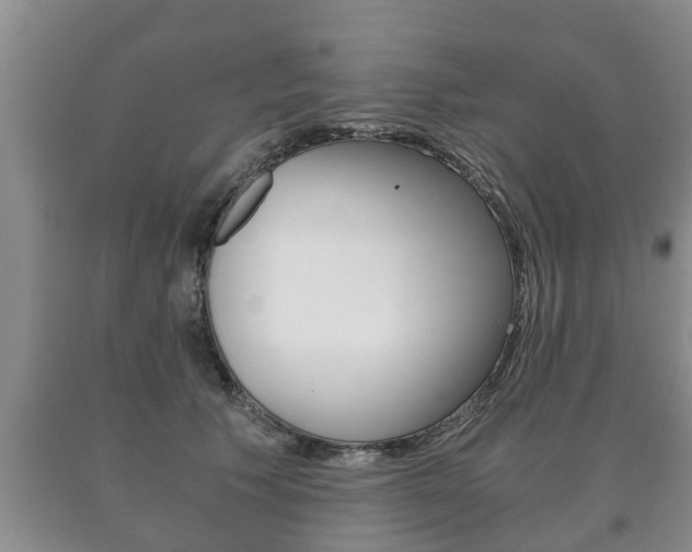 X0000091060609200708061002