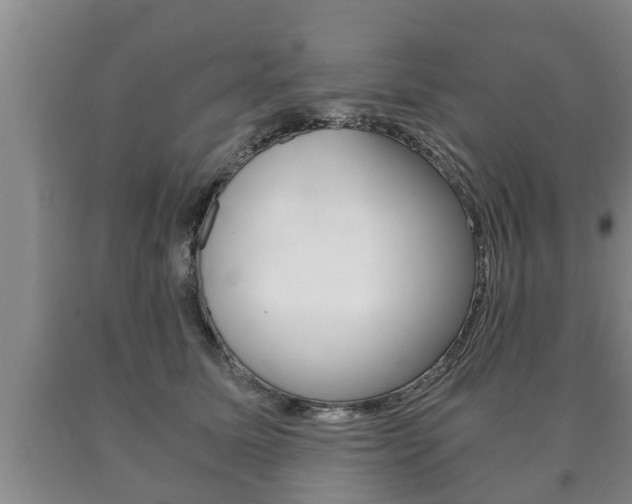X0000091060611200708061001