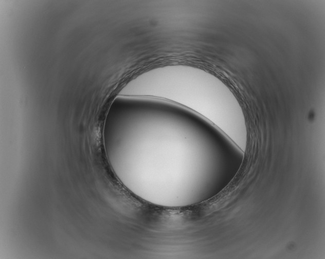 X0000091060613200708061001