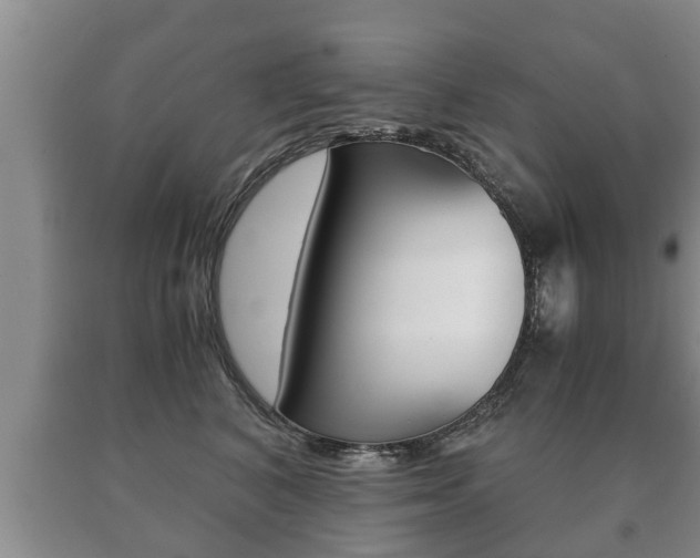 X0000091060616200708061001