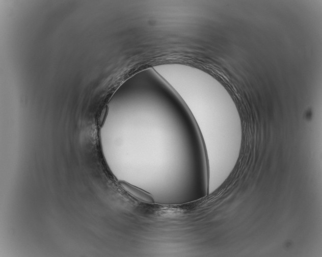 X0000091060617200708061001