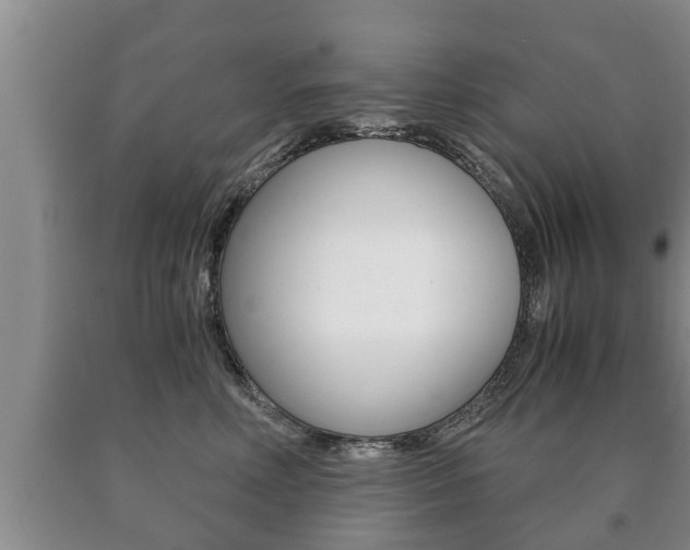 X0000091060618200708061001