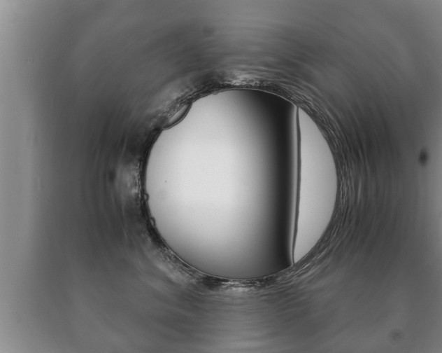 X0000091060620200708061001